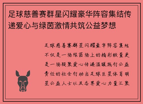 足球慈善赛群星闪耀豪华阵容集结传递爱心与绿茵激情共筑公益梦想